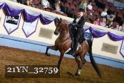 21YN_32759 thumbnail