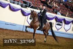 21YN_32760 thumbnail