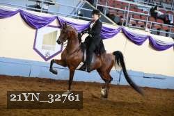 21YN_32761 thumbnail