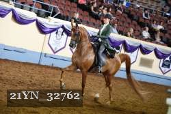21YN_32762 thumbnail