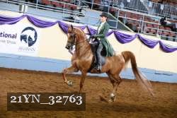 21YN_32763 thumbnail