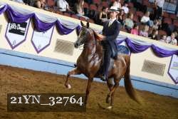 21YN_32764 thumbnail