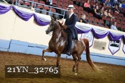21YN_32765 thumbnail