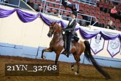 21YN_32768 thumbnail