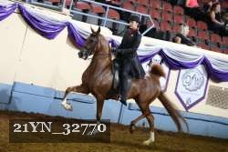 21YN_32770 thumbnail