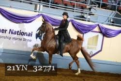 21YN_32771 thumbnail