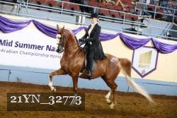 21YN_32773 thumbnail