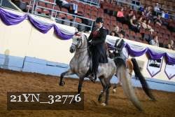 21YN_32776 thumbnail