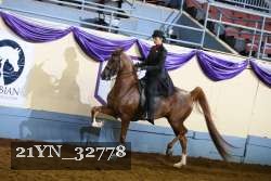 21YN_32778 thumbnail