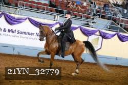 21YN_32779 thumbnail