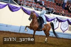 21YN_32780 thumbnail