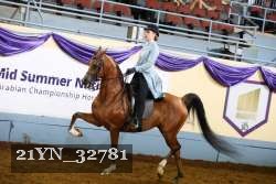 21YN_32781 thumbnail