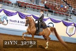 21YN_32782 thumbnail