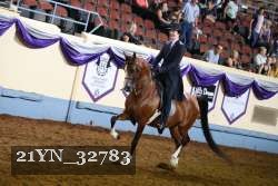 21YN_32783 thumbnail