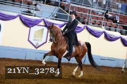 21YN_32784 thumbnail