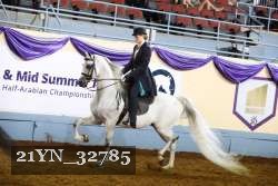 21YN_32785 thumbnail