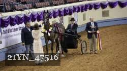 21YN_47516 thumbnail