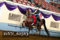21YN_62563 thumbnail
