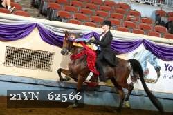 21YN_62566 thumbnail