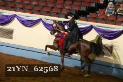 21YN_62568 thumbnail