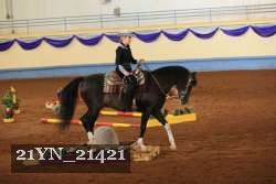 21YN_21421 thumbnail