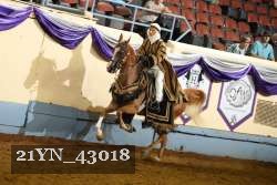 21YN_43018 thumbnail