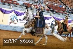 21YN_36161 thumbnail