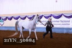 21YN_50884 thumbnail