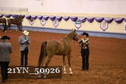 21YN_50926 thumbnail