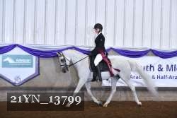 21YN_13799 thumbnail