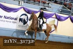 21YN_31732 thumbnail