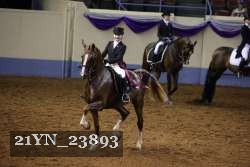 21YN_23893 thumbnail
