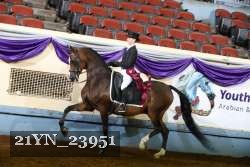21YN_23951 thumbnail