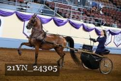 21YN_24305 thumbnail