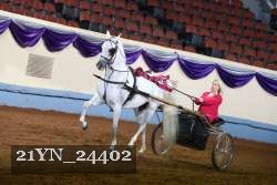 21YN_24402 thumbnail