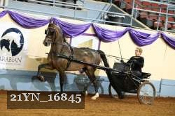 21YN_16845 thumbnail