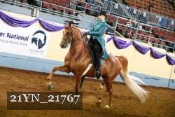 21YN_21767 thumbnail