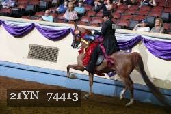21YN_74413 thumbnail
