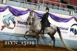 21YN_15119 thumbnail