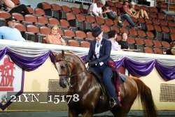 21YN_15178 thumbnail