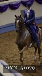 21YN_51079 thumbnail