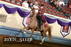 21YN_51128 thumbnail