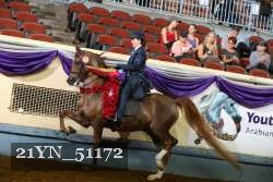 21YN_51172 thumbnail
