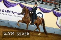 21YN_55036 thumbnail