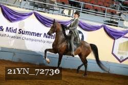 21YN_72730 thumbnail