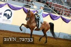 21YN_72733 thumbnail