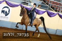 21YN_72735 thumbnail