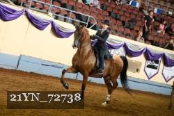 21YN_72738 thumbnail