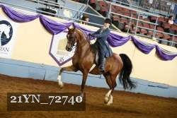 21YN_72740 thumbnail