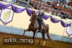 21YN_72745 thumbnail